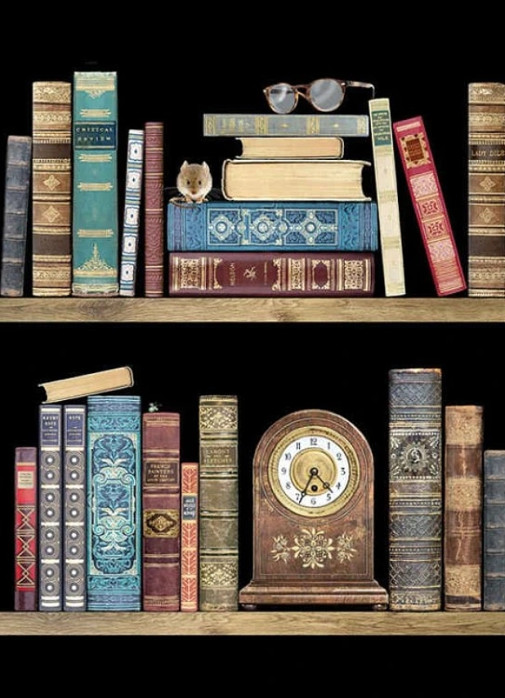 detail Luxusní přání M137 BUG ART - BOOKSHELVES