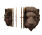 náhled Cartonic 3D PUZZLE - LION, 79 dílků, LEVEL 2 (k zavěšení)