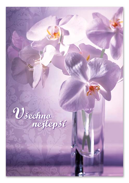 detail Ditipo Hrací přání ... BÍLÁ ORCHIDEJ / Eva a Vašek