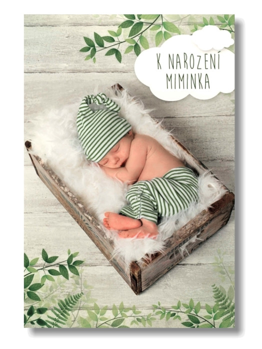 detail Nekupto hrací přání Z MECHU A KAPRADÍ / Josef Svejkovský