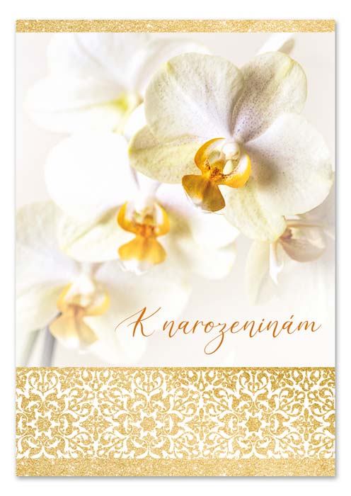 detail Ditipo Hrací přání BÍLÁ ORCHIDEJ / Eva a Vašek