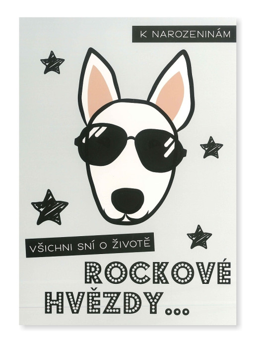 detail Albi Hrací přání VŠICHNI SNÍ O ŽIVOTĚ ROCKOVÉ HVĚZDY...