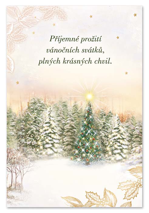 detail Ditipo Hrací přání s efektem Alžbětínská serenáda / melodie
