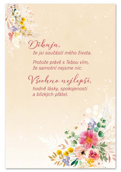 detail Ditipo Hrací přání narozeninové Samotní nejsme nic / Lenka Filipová & LENNY