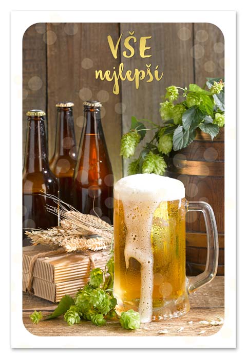 detail Ditipo Blahopřání L - Vše nejlepší - PIVO