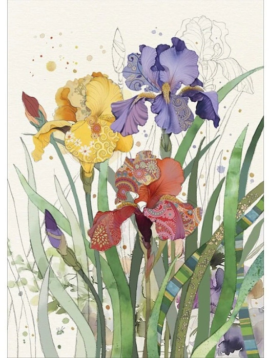 detail Luxusní přání B060 BUG ART - MIXED IRISES