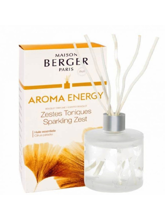 detail Maison Berger AROMA ENERGY, difuzér 180 ml
