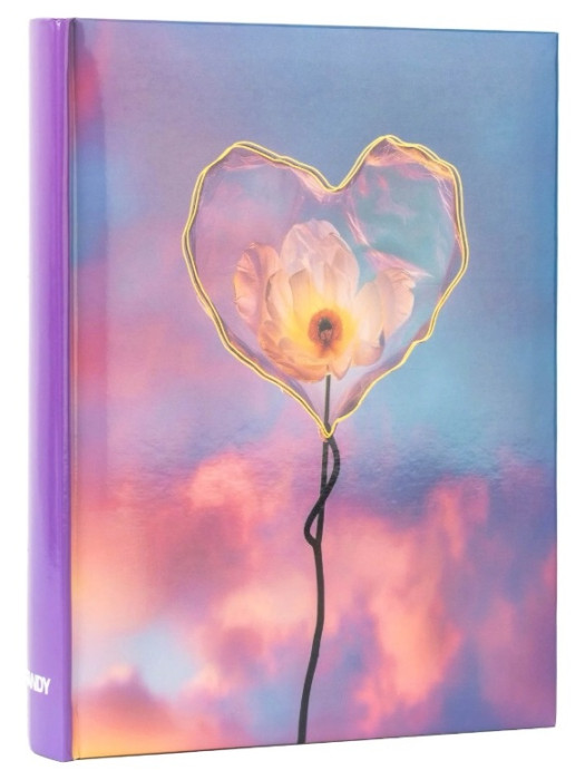 detail Fotoalbum 10x15/200 B46200S Fandy Silky 2 srdce