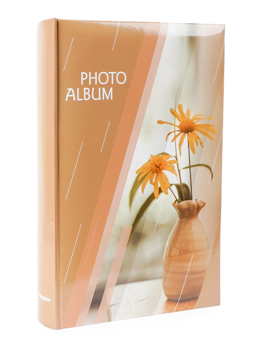 detail Fotoalbum 10x15/300 3-up B46300S Fandy RAY 1