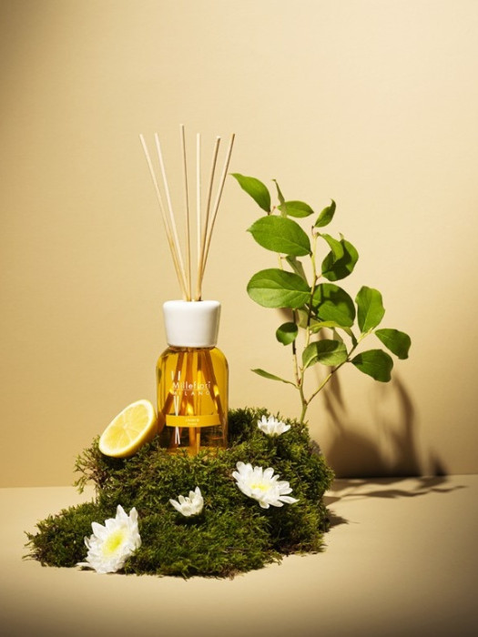 detail Millefiori Milano Difuzér 100ml RIVIERA