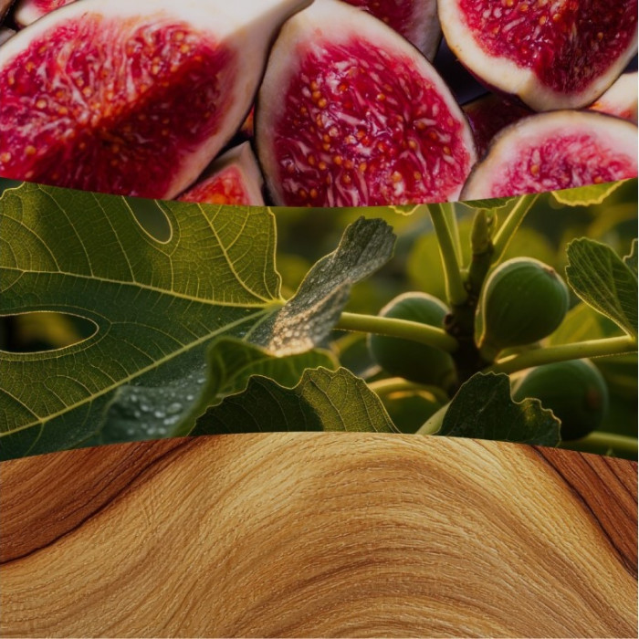 detail Vonná svíčka WoodWick Verdant Fig, malá 85 g