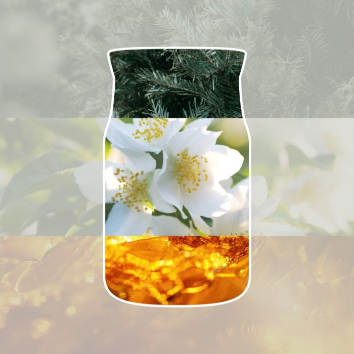 detail Yankee Candle Silver Birch, signature velká svíčka 568g
