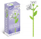 náhled Nekupto MINI stavebnice FLORIST – Jasmín