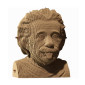 náhled Cartonic 3D PUZZLE - Albert EINSTEIN, 172 dílků, LEVEL4