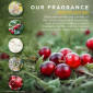 náhled Baylis & Harding Festive, dárková sada Sněžítko, 3dílná