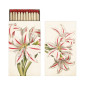 náhled Sköna Ting Zápalky Green & White Christmas Amaryllis, 45ks