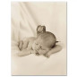 náhled Anne Geddes - kniha Mých prvních pět let - SEASONS - louka