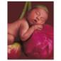 náhled KNIHA MÝCH PRVNÍCH PĚT LET Anne Geddes FLOWER X-large
