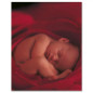 náhled KNIHA MÝCH PRVNÍCH PĚT LET Anne Geddes FLOWER X-large