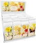 náhled Sköna Ting YELLOW SPRING, sypaný černý čaj 100g MIX / 1ks