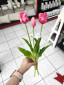náhled Autronic Svazek 3 kusů růžových tulipánů, 40cm