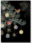náhled Luxusní přání MC040 BUG ART - ROBIN TREE