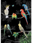 náhled Luxusní přání M165 BUG ART - TROPICAL BIRDS