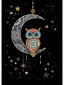 náhled Luxusní přání M182 BUG ART - MOON OWL