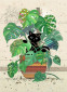 náhled Luxusní přání H038 BUG ART - MONSTERA KITTY