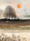 náhled Luxusní přání K024 BUG ART - FOX FIELD