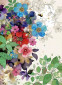náhled Luxusní přání B063 BUG ART - COLORFUL MIX