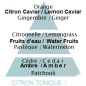 náhled Maison Berger TONIC LEMON, náplň do katalytické lampy 500 ml