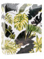 náhled Fotoalbum 10x15/304 bez popisu Lotmar Monstera 3 zelené