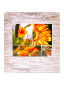 náhled Fotoalbum samolepicí 100stran DRS50 Fandy INCOLOR 2