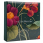 náhled Fotoalbum samolepicí 100stran DRS50 Gedeon FLOWER 7 řeřicha