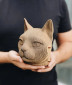 náhled Cartonic 3D PUZZLE - Kočka CARTCAT, 89 dílků, LEVEL2