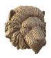 náhled Cartonic 3D PUZZLE - LION, 79 dílků, LEVEL 2 (k zavěšení)