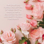 náhled Baylis&Harding Rose, Poppy & Vanilla Sada péče o ruce v boxu, 5dílná