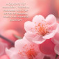 náhled Baylis&Harding Boudoire, velká dárková sada, 7dínlá