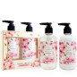 náhled Accentra Dárková sada péče o ruce Cherry Blossom, 2x 240ml