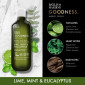 náhled Baylis&Harding Sprchový gel - Goodnes Lime, Mint & Eucalyptus, 500ml