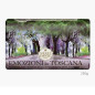 náhled Nesti Dante Emozioni in Toscana - Enchanting Forest, tuhé mýdlo 250g