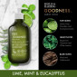 náhled Baylis&Harding Tělové mléko Goodnes - Lime, Mint & Eucalyptus, 500ml