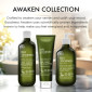 náhled Baylis&Harding Tělové mléko Goodnes - Lime, Mint & Eucalyptus, 500ml