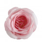 náhled Mathilde M. - ROSE, plátkové mýdlo růžové v baňce