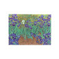 náhled Paperblanks Desky na dokumenty A4 - IRISES
