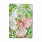 náhled Paperblanks Diář 2027 MINI weekly horizontal - Bindweed Fairy, flexi