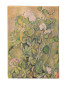 náhled Paperblanks MIDI zápisník - Cezanne’s Terracotta Pots and Flowers, linkovaný