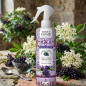 náhled Sweet Home Bytový sprej 250ml Mediterranea Fiori di Sambuco