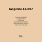 náhled Vonná svíčka TANGERINE & CITRON, široký knot 453g
